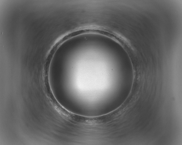 X0000081581264200701151233