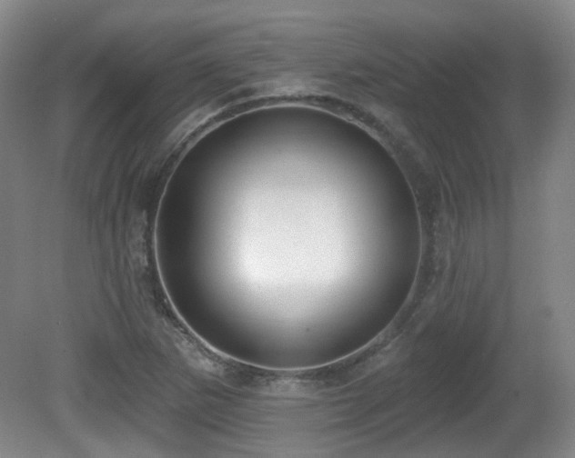 X0000081581265200701151233