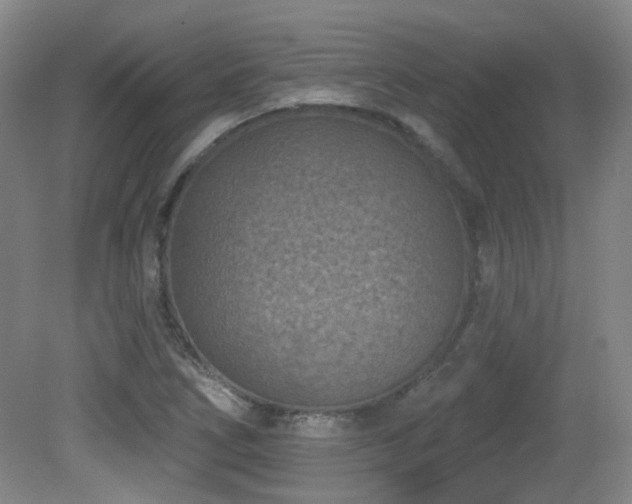 X0000081581266200701151233