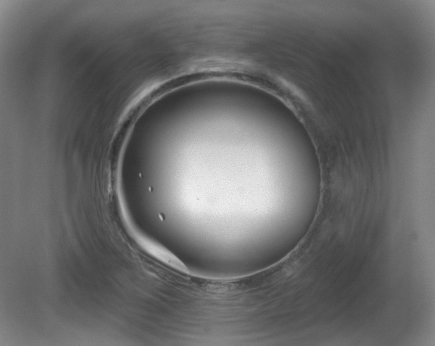 X0000081581267200701151233