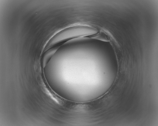 X0000081581268200701151233