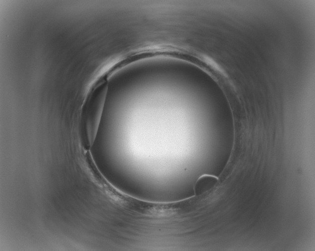 X0000081581269200701151233