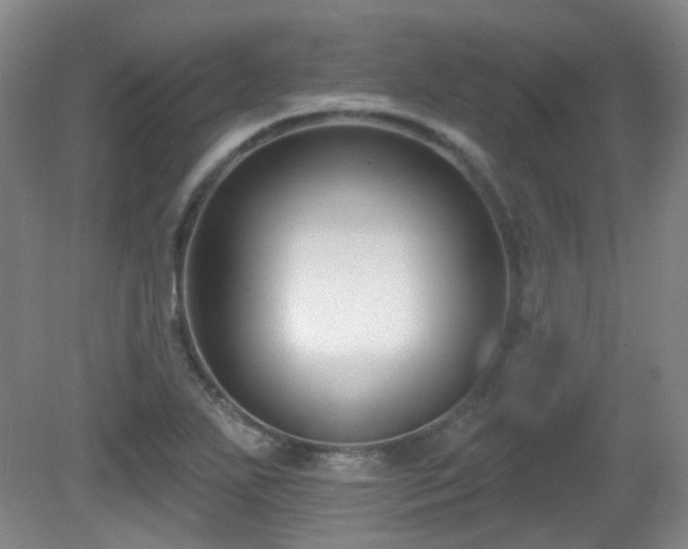 X0000081581271200701151233