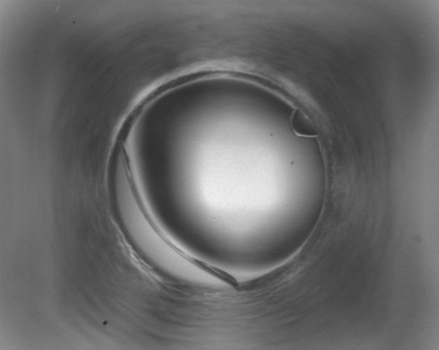 X0000081581272200701151233