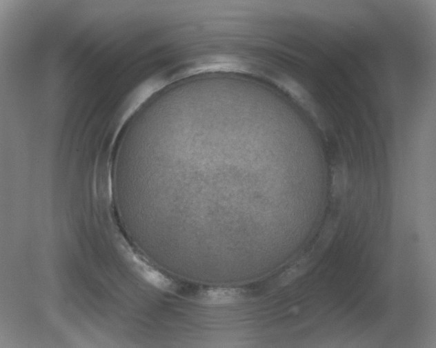 X0000081581274200701151233