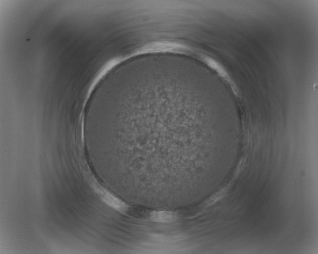 X0000081581275200701151233