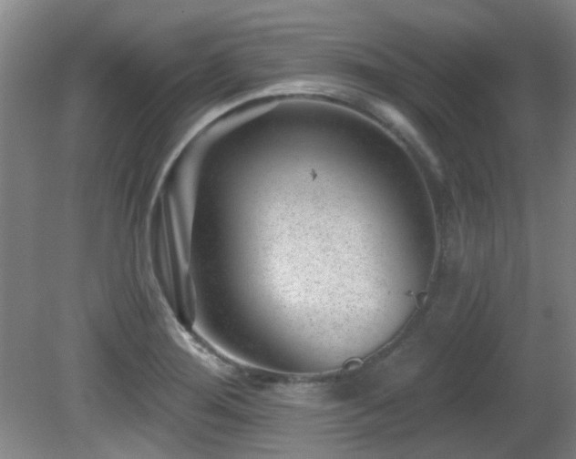 X0000081581276200701151233