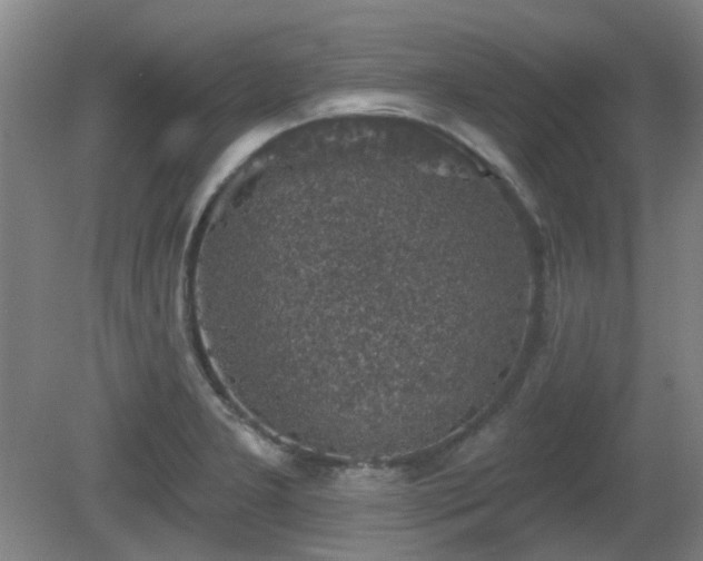 X0000081581277200701151233