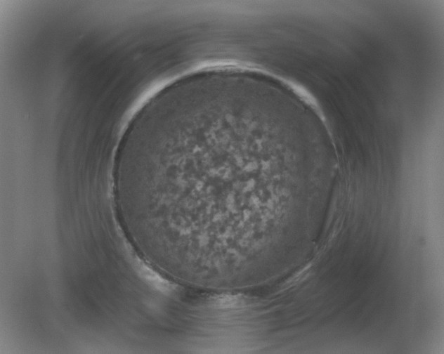 X0000081581279200701151233