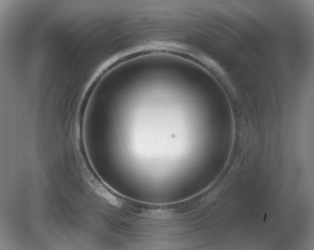 X0000081581280200701151233