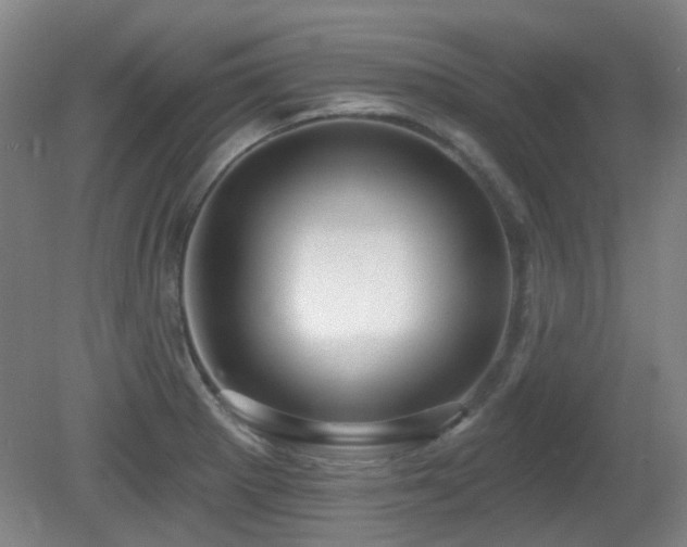 X0000081581281200701151233