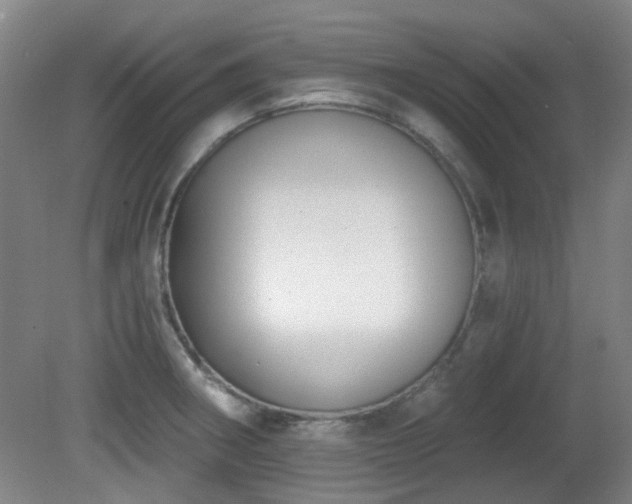 X0000081581282200701151233