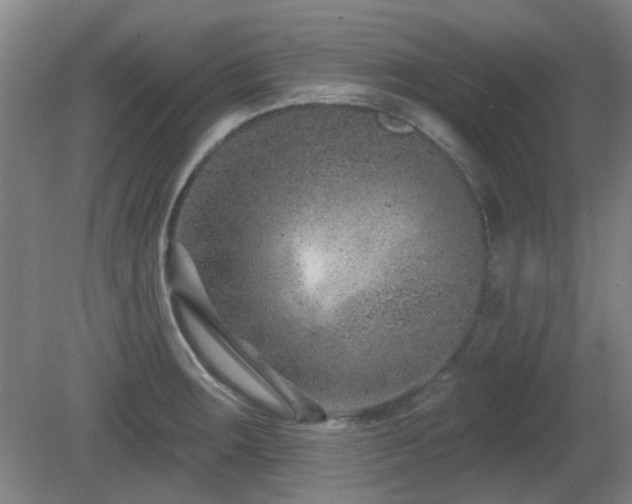 X0000081581283200701151233