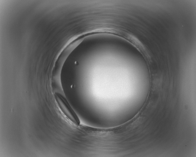 X0000081581284200701151233