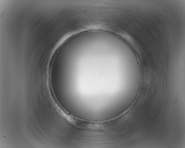 X0000081581286200701151233