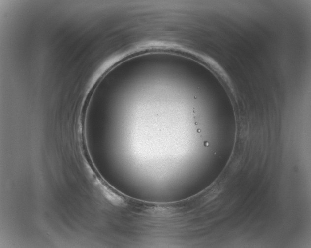 X0000081581287200701151233