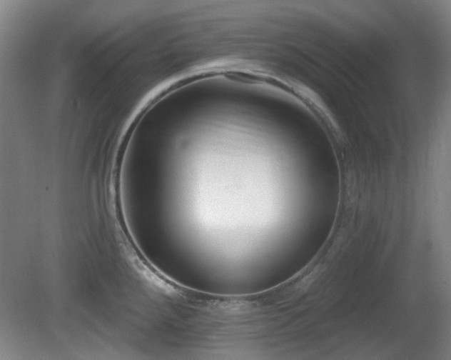 X0000081581288200701151233