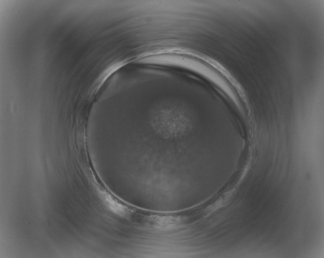 X0000081581289200701151233