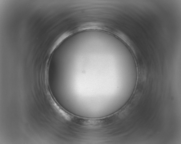 X0000081581290200701151233