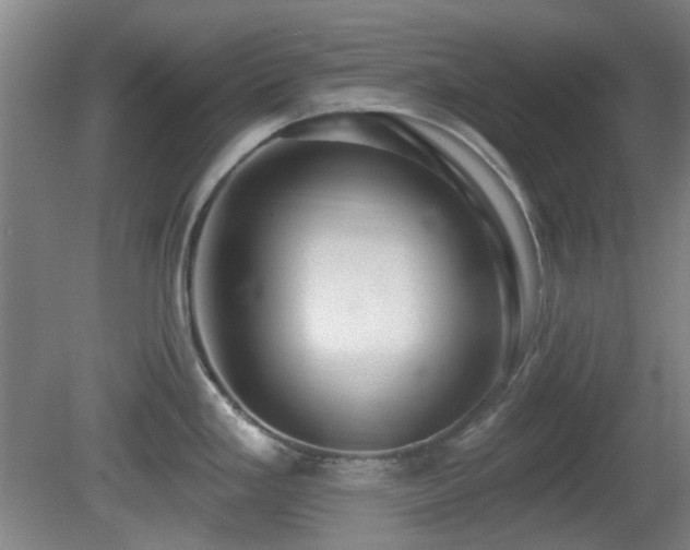 X0000081581293200701151233