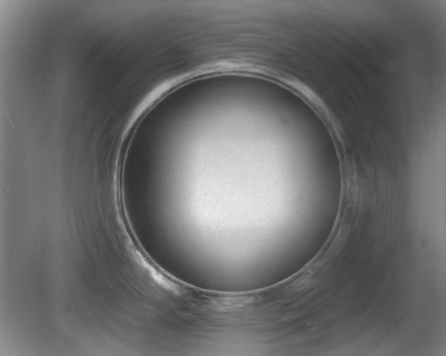 X0000081581294200701151233