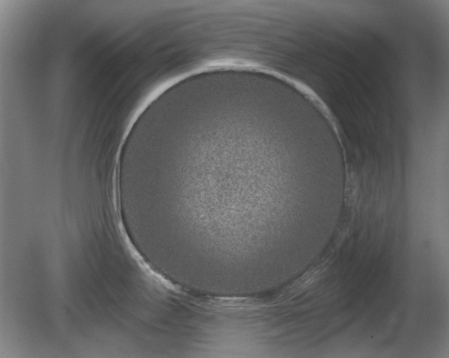 X0000081581295200701151233