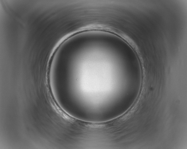 X0000081581296200701151233