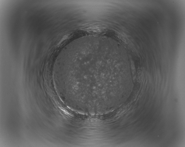 X0000081581297200701151232