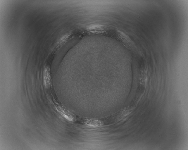 X0000081581298200701151232