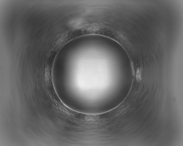 X0000081581299200701151232