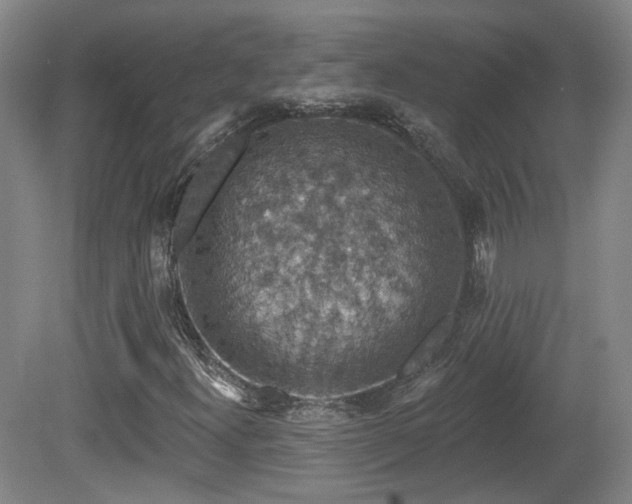 X0000081581300200701151232