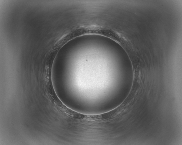 X0000081581301200701151232