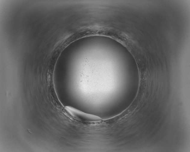 X0000081581302200701151232