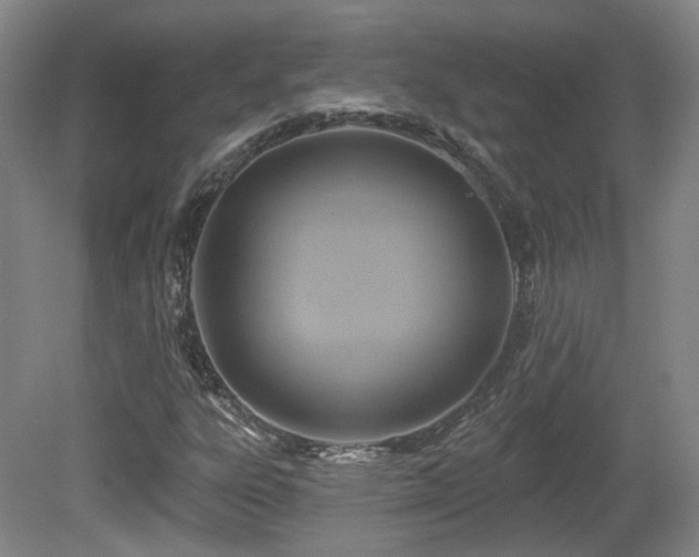 X0000081581303200701151232