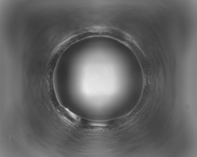 X0000081581304200701151232