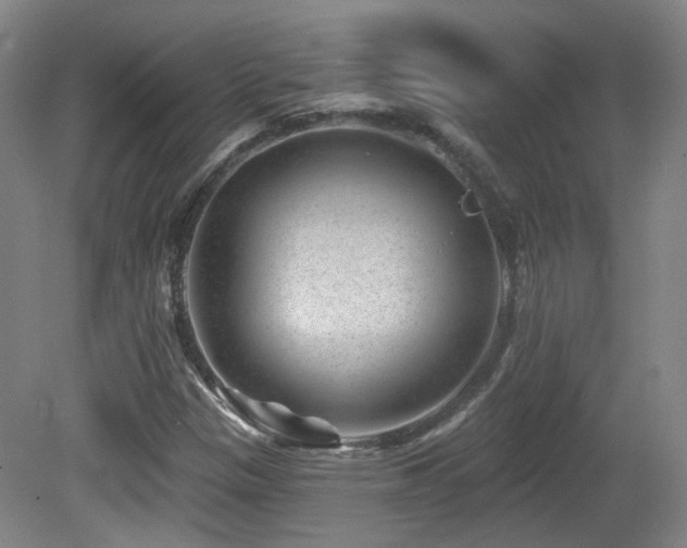 X0000081581305200701151232