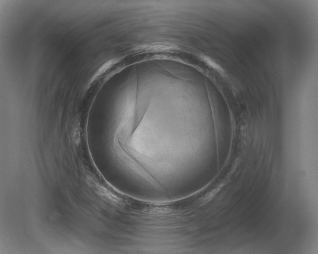 X0000081581306200701151232