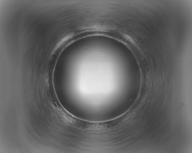 X0000081581307200701151232