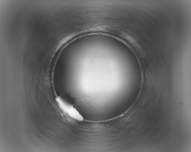 X0000081581308200701151232