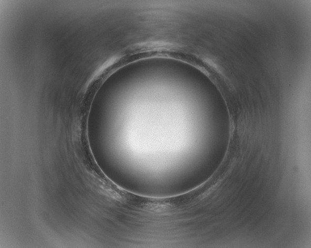 X0000081581309200701151232