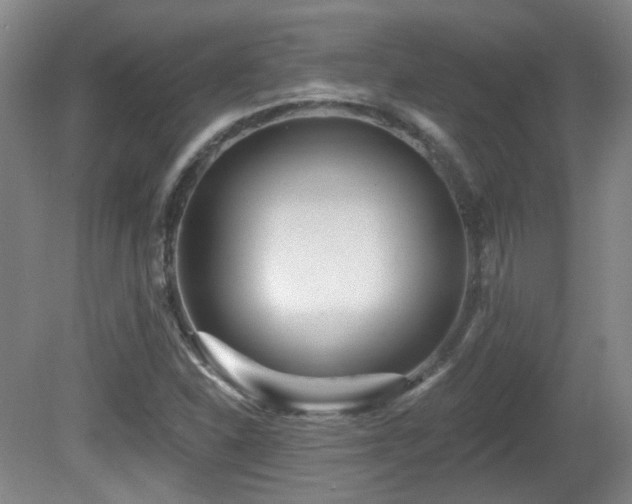 X0000081581310200701151232