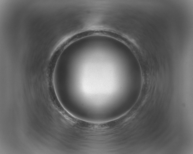 X0000081581311200701151232