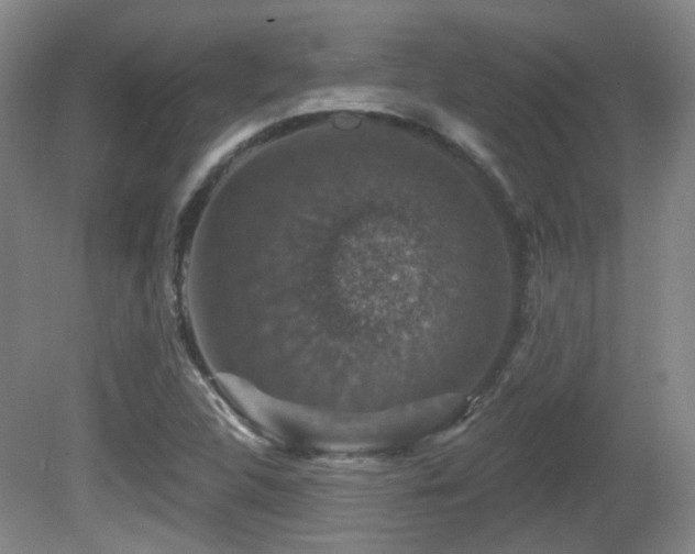 X0000081581312200701151232