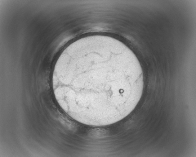 X0000081581314200701151232