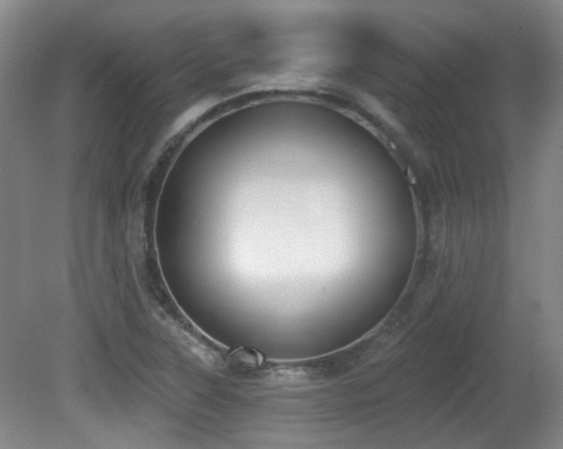 X0000081581315200701151232