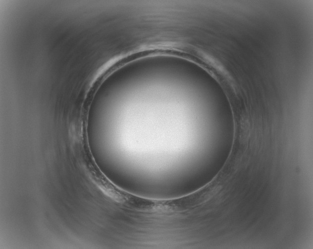 X0000081581316200701151232