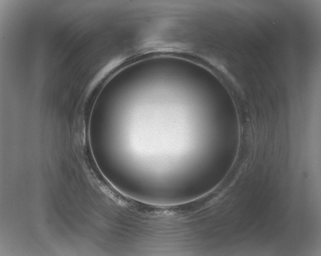 X0000081581317200701151232