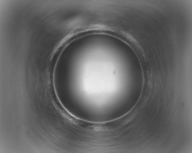 X0000081581318200701151232