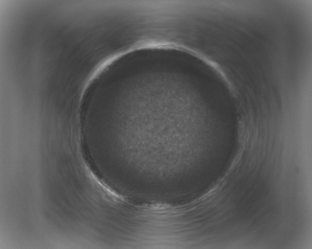 X0000081581319200701151233