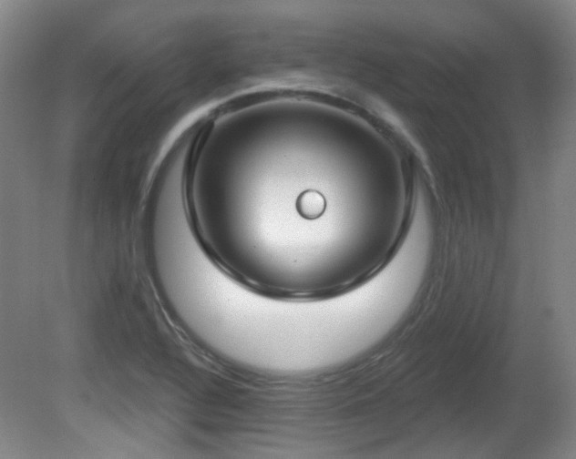 X0000081581320200701151233